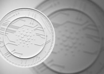 Cardano ERC-20 Converter Will Soon Open For Beta Testing
