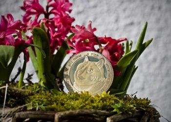 Another 50% Daily Gain For DOGE Confirms Alt Season, Bitcoin Stumbles