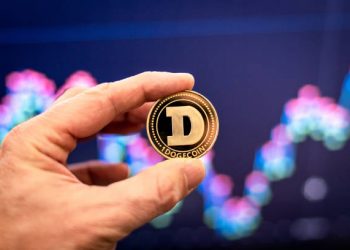 Only Whales Move DOGE, Will It Result In An XRP-Style Crash?