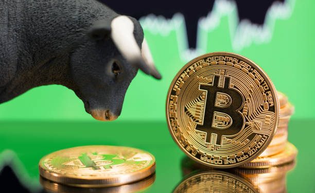 Bitcoin Surpasses $36,100 As Altcoins Gain Over 10%