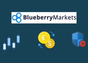 Blueberry Markets Has Appointed A new Chief Commercial Officer