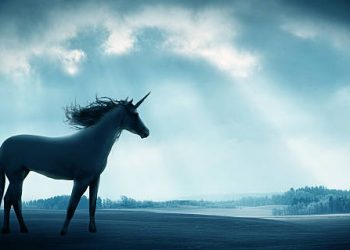 Singapore Crypto Startup Raises $100M In Series C Funding, Gains Unicorn Status