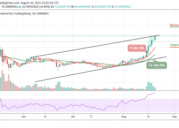 Solana Price Analysis