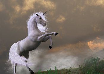 Unicorns In Crypto World: An Increasing Number Of Billion-Dollar Crypto Firms