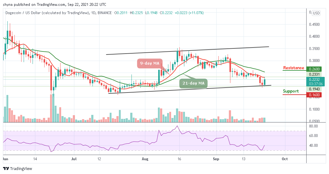 DogeCoin Price Analysis