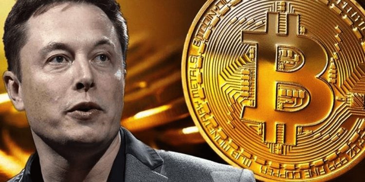 Cryptocurrency Is Impossible To Dismantle – Elon Musk