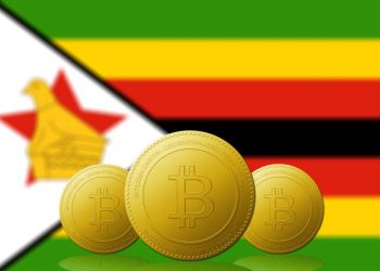 Zimbabwe Minister Interested In CBDC Amid Bitcoin Adoption Allegations