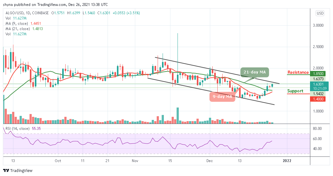Algorand Price Analysis