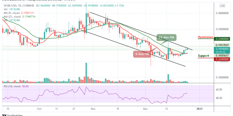 DOGEUSD Price Analysis