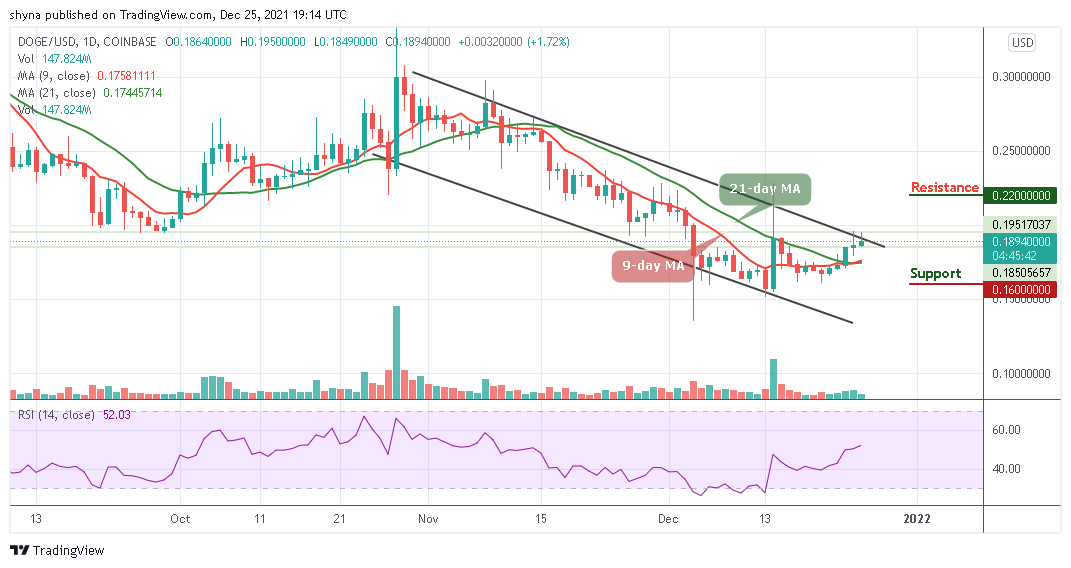 DOGEUSD Price Analysis