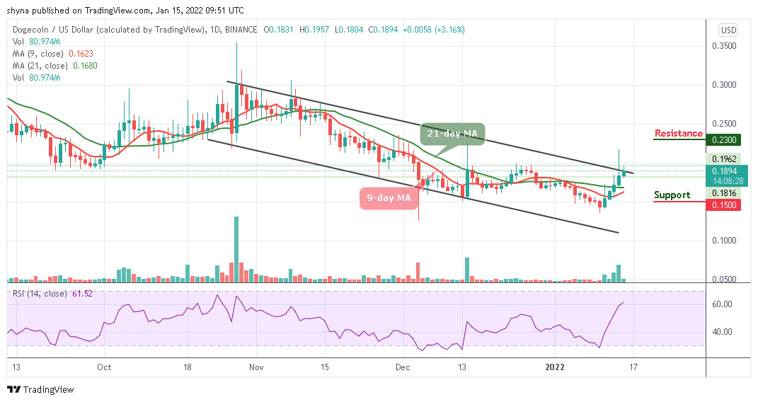 Dogecoin Price Analysis