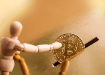 Roman Catholic Archdiocese Of Washington DC Now Accepts Crypto Donations