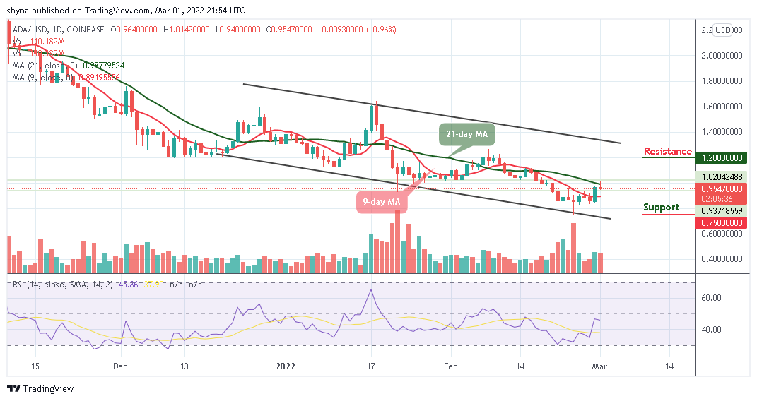 Cardano Price Analysis: ADA/USD Price Drops Below $1.01 Level