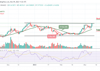 Terra Price Analysis