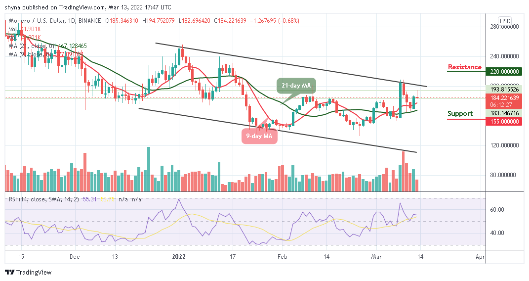 Monero Price Analysis