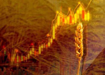 Egypt Sets Bread Prices Higher As Wheat Supply Is Impacted By Ukraine War