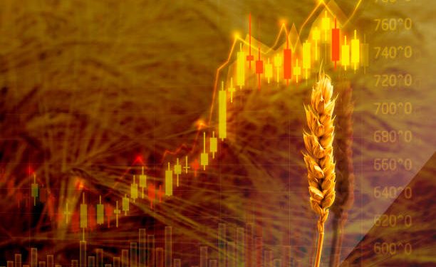 Egypt Sets Bread Prices Higher As Wheat Supply Is Impacted By Ukraine War