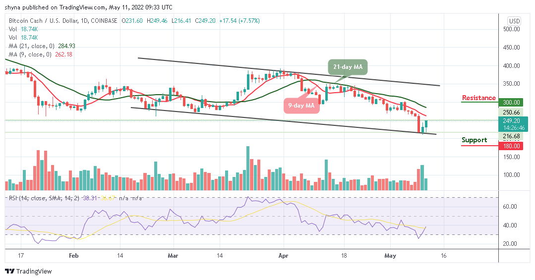 Bitcoin cash to usd chart ethereal rose reddit