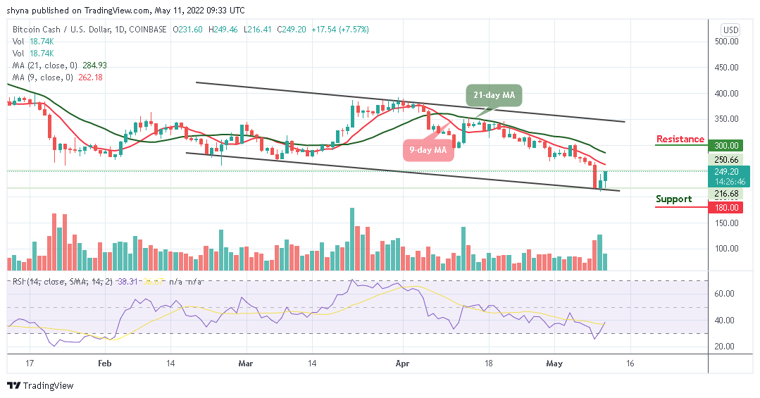 Bitcoin Cash Price Analysis