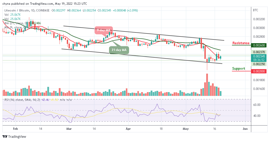 Litecoin Price Prediction