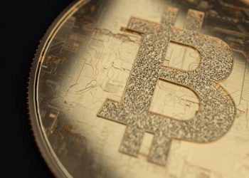 The Early Birds Are Betting On Bitcoin’s Bottoming Out