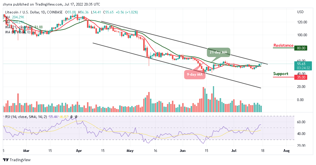 Litecoin Price Prediction