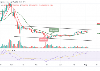 ApeCoin Price Analysis
