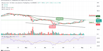 Binance Coin Price Analysis