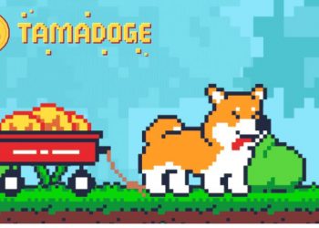 Tamadoge Is Attracting Memecoin Whales In 2022, Here Is Why You Should Also Buy