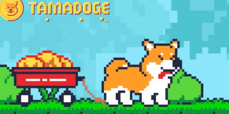 Tamadoge Is Attracting Memecoin Whales In 2022, Here Is Why You Should Also Buy
