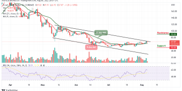 Zcash Price Analysis