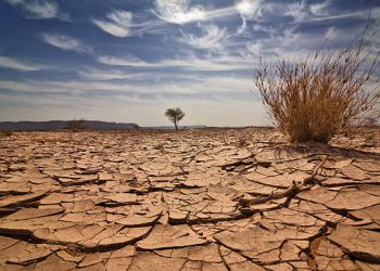 As Drought Risks Increase, Investors Eye Thirsty Firms, Solutions