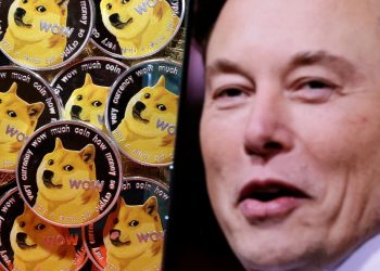 Elon Musk Frees The Bird And The Dog Coin Soars