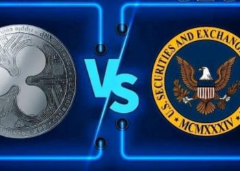 XRP Lawsuit: SEC, Ripple Request Deadline; Whales Move 143M XRP
